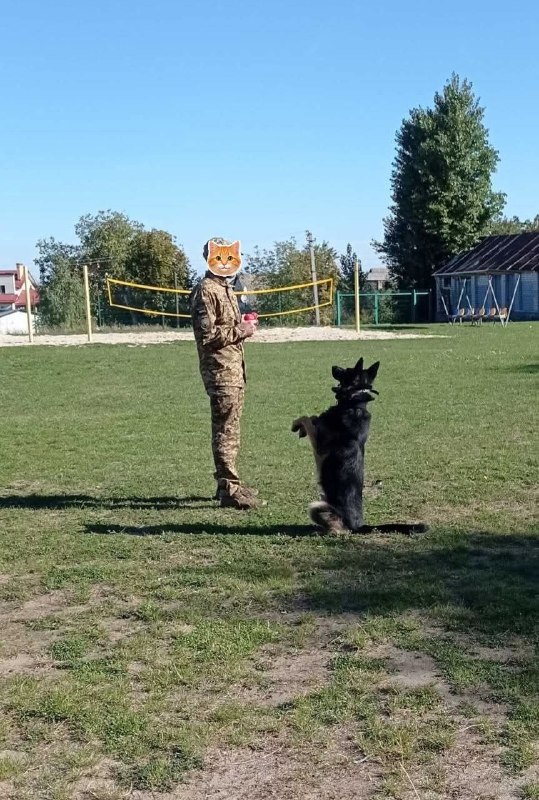 🇺🇦 Від такмеду до кінології: у Каневі школярі навчалися разом із військовими